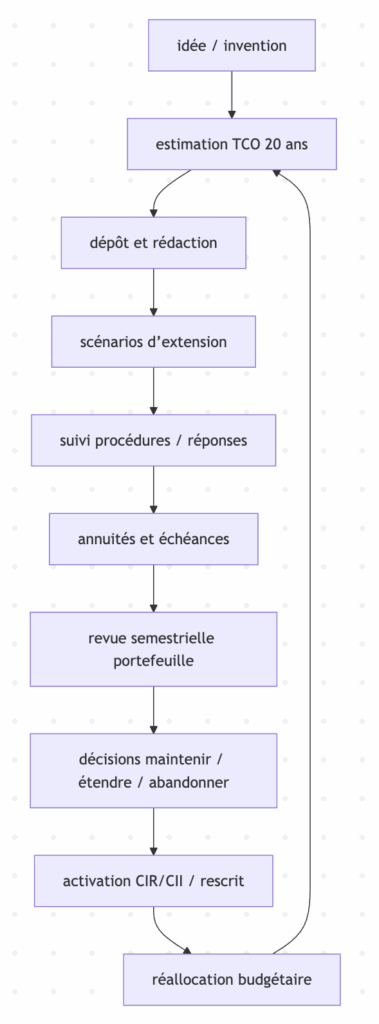 Optimiser de votre budget PI 2026 - Diagramme de pilotage budgétaire de votre PI